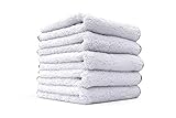 (5-Pack) THE RAG COMPANY 16 in. x 16 in. Everest 800 Double-Plush Professional Korean 70/30 Microfiber Detailing Towels