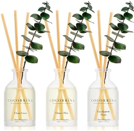 Amazon.com: COCORRÍNA Eucalyptus Reed Diffuser Set of 3 - Eucalyptus ...
