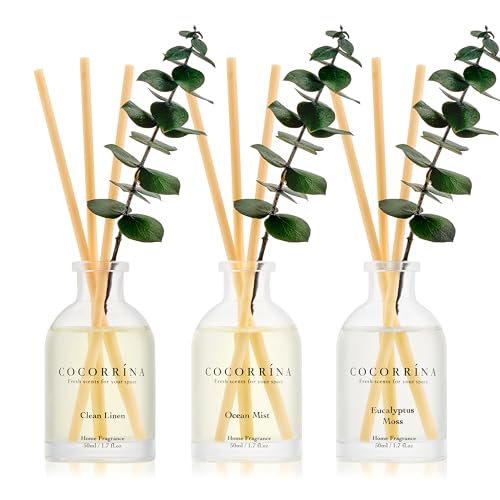 COCORR&Iacute;NA Eucalyptus Reed Diffuser Set of 3