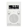 Tivoli Audio PAL+BT Tragbares Bluetooth-UKW/DAB+-Radio (Weiß)