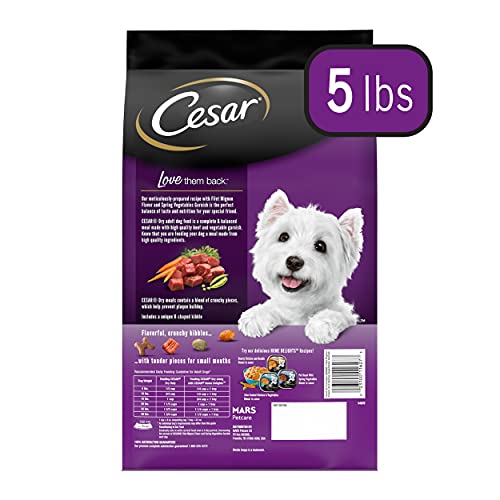 Cesar Small Breed Dry Dog Food Filet Mignon Flavor With Spring Vegetables Garnish Dog Kibble, 5 Lb. Bag #TOP1