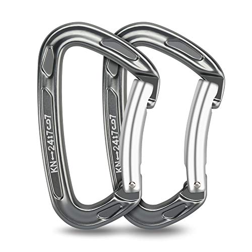 yidenguk 2pcs Mousquetons d'escalade, Agrafe de Clip de Mousqueton 24KN pour l'escalade, la Descente en Rappel, hamacs, Laisse pour Chien, Bouteille d'eau