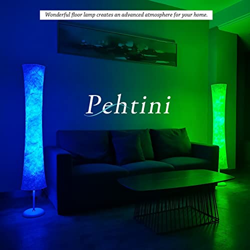 Pehtini Floor Lamps For Living Room Modern 61" Floor Lamp Floor Lamp For Bedroom Corner Floor Lamp Rgb Color Changing Floor Lamp Dimmable Floor Lamp With Remote Control #TOP1