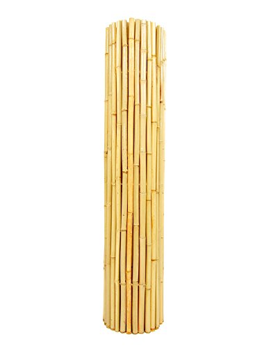Forever Bamboo Natural Rolled Bamboo Fence 6ft x 8ft