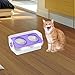 Leefasy Dog Bowls Cat Feeding Bowls Raised Food Dispenser Water Drinking Dish for Indoor Guard with Rack Pet Feeder Waterer, Purple
