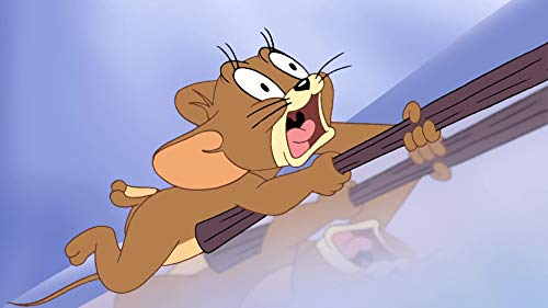 Northern Light Fish Fight