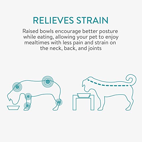 Navaris Futterstation für Katzen und Hunde inkl. Aufbewahrung - Anti-Spill Futternapf Set - 2X Fressnapf für Wasser Nass- und Trockenfutter erhöht