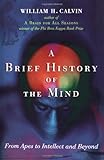 A Brief History of the Mind: From Apes to Intellect and Beyond
