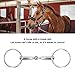 Topyond Horse Snaffle Bit, Stainless Steel D-Ring Horse Bits Western, Enhanced Control and Comfort, Jointed Chewing Mouth Roller, Suitable for Training Horses