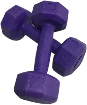 Leyaton 1 Kg Plastik Damb l Set 2 Adet Mor Renk