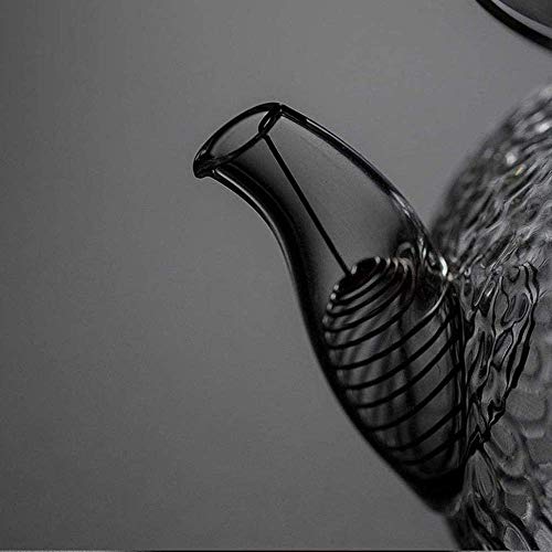 CHAIODENGZI Bule de vidro de ferro fundido estilo japonês resistente ao calor, conjunto de chá de Ku