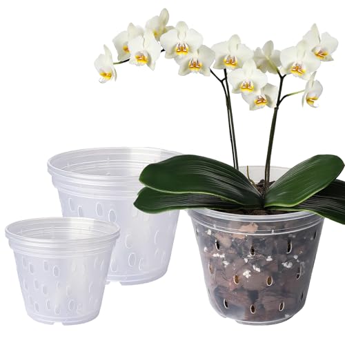 WZHHDM Clear Nursery Pots 6pcs Orchid Pots Variety Clear Orchid Planter Pots Plastic Plant Pots Indoor Breathable Slotted Orchids Planter for All Plants