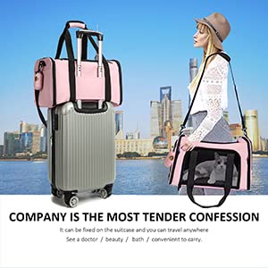 Rosebb Cat Carrier Dog Carrier Pet Carrier Cat Bags For Small Medium Cats Dogs Puppies Of 15 Lbs,Of Airline Approved Small Dog Bag Soft Sided,Collapsible Travel Puppy Carrier (Medium, Pink) #TOP3