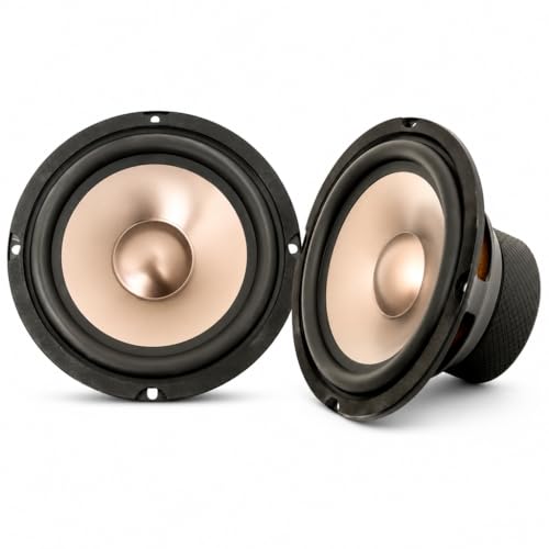 Amagkon 6.5 Inch 2-Way Mid-Bass Car Speakers, 220W Max (80W RMS) 4 Ohm, Aluminum Magnesium Cone Full Range Audio System, 90dB High Sensitivity, Easy Upgrade for Car SUV Door Speakers, Set of 2