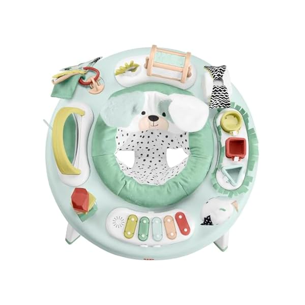 Fisher-Price Baby Gear OU HLV78 3-in-1 SnugaPuppy Activity Center, Multicolor – Bild 5
