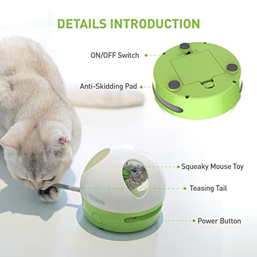 Petgeek Interactive Cat Toy, Hide Mouse Cat Toy With Squeaky Mouse, Electronic Automatic Cat Toys With Catnip Filled Hidey Mouse, Cat Toys Interactive For Indoor Cats Exercise & Game #TOP6