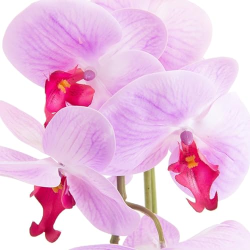 Orquídeas artificiales HUAQINGJUE sin riego para rincones oscuros 5