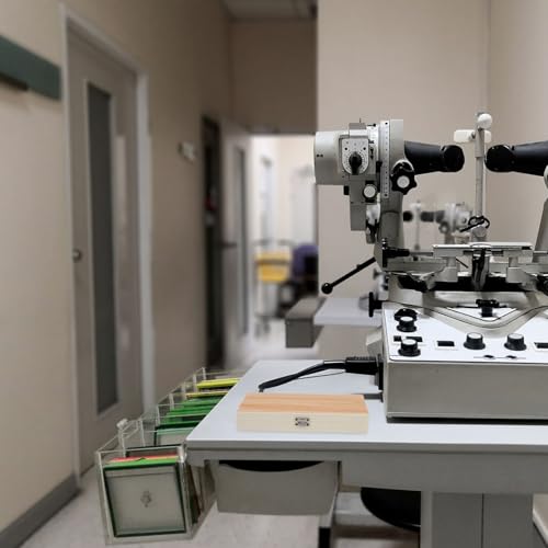 Lames de microscope protégées dans cette boîte en bois compacte à fermeture - 6