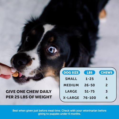 Image of Omega 3 for Dogs Skin and Coat Supplement - Salmon Oil Fish Oil Chews for Itchy Skin Relief, Dry Skin, Shedding Control & Shiny Coat - Dog Vitamins with Biotin & Vitamin E (Salmon, 90 Ct)