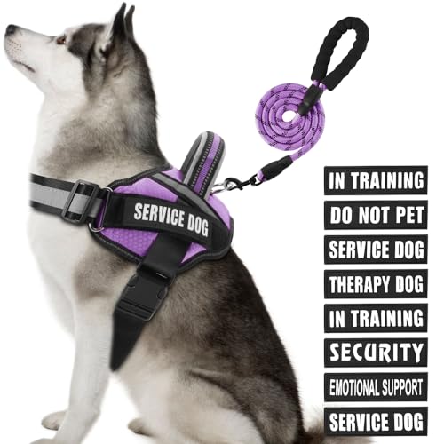 T[rXhbOxXgn[lXƃ[VZbgAAnimire in Training Dog Harness with 10 Dog PatchesAˌp[h \tgpbhnht ^A^A^A^p(p[vAXL)