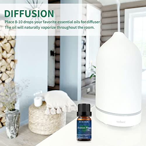 Buriburi Forest Pine Fragrance Oil Aromatherapy Oil Essential Oil 10Ml For Diffuser, Soap Making Candle Making (Forest Pine) #TOP2