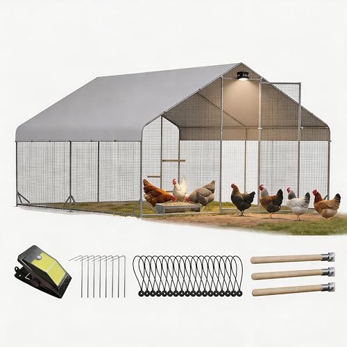 Belinova Heavy Duty Chicken Coop