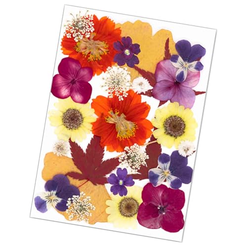 25 ԃA[gNtgpiubN}[NWG[쐬XNbvubLOԑ