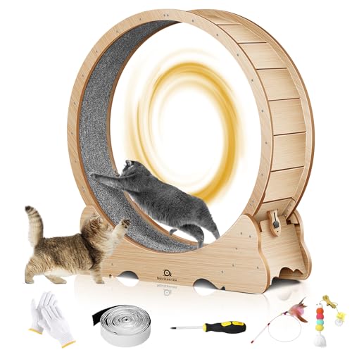 10 Best Cat Exercise Wheels 2024