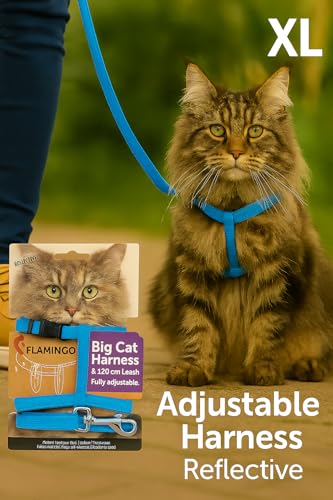 cat harness - large cat Elza blue - 22-32cm - 35-56cm - leash 120cm - adjustable nylon - reflective - with carabiner - Image 2