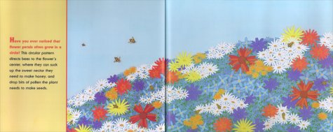 Nature's Paintbrush: The Patterns and Colors Around You