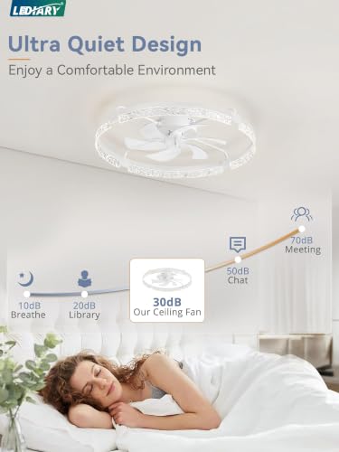 Image of LEDIARY 30 Inch Ceiling Fans with Lights White