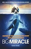 Big Miracle
