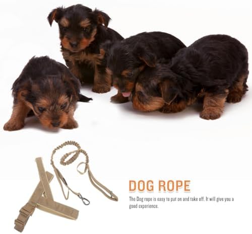 GLEAVI Harness, Dog for Training Leash Adjustable Set Nylon Lightweight and Easy to Put for Small to Large with Neck 23.23in and Chest 23.62-27.56in Outdoor Use Suitable Dogs — view 6