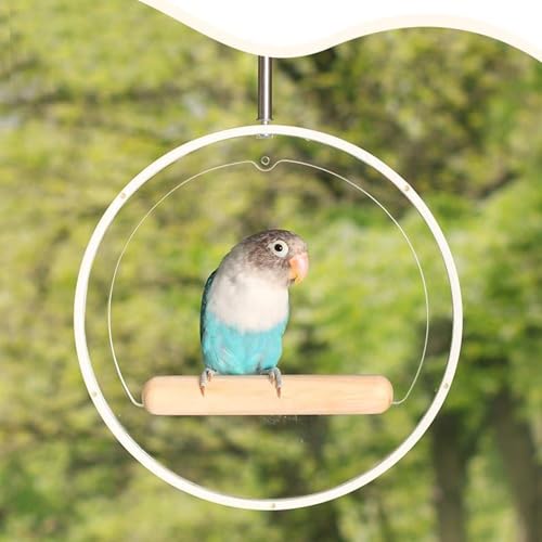 Swing de Círculo de Papagaio, 7,7 in Acrílico de Acrílico Gaiola de Pássaro Playground Pendurando Ga