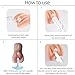 Sex Doll Cleaning Kit Male Masturbator Cleaning Brush Male Toy Cleaning and Care Supplies, Reusable Bottle and Cup Cleaning Brush, Ventilated Drying Stick, Male Sex Toy Love Doll Care Tool 2 Pieces