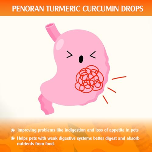 Kurkum- und Curcumin Tropfen für Hunde & ältere Hund & ArbeitsHunde: Gelenkbeweglichkeit und -flexibilität, Schmerzgenesung, Verdauung, Gehirn, Leber, Knochen, Muskeln, Haut, Fell – bessere Resorption