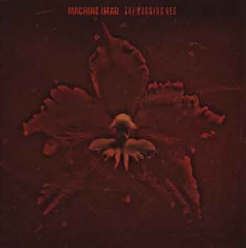 Amazon.com: Burning Red: CDs & Vinyl