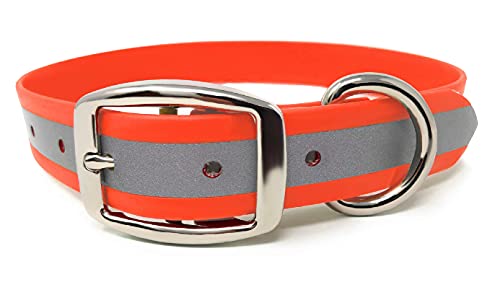 Regal Dog Products Medium Orange Heavy Duty Reflective Dog Collar With Durable Metal Buckle And D Ring | Adjustable, Chew Proof & Waterproof Dog Collar | Other Sizes For Small & Large Dogs #TOP12