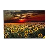 Custom Puzzle, Custom Puzzles from Photos, Personalized...