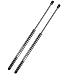 Set of 2 Rear Window Glass Struts Shocks Lift Supports for 1994-2002 Honda Passport 1991-2004 Isuzu Rodeo 1991-2004 Isuzu Wizard 1999-2000 Isuzu Amigo