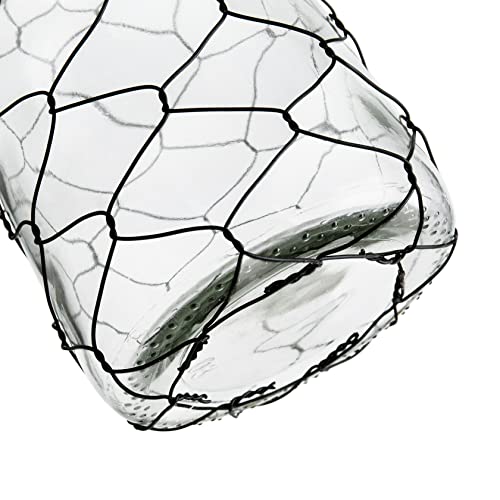 Diamond Star Decorative Glass Vase Chicken Wire Wrap Bottle Vase Rustic Flower Vase For Home (4.5”×6.5”) #TOP4