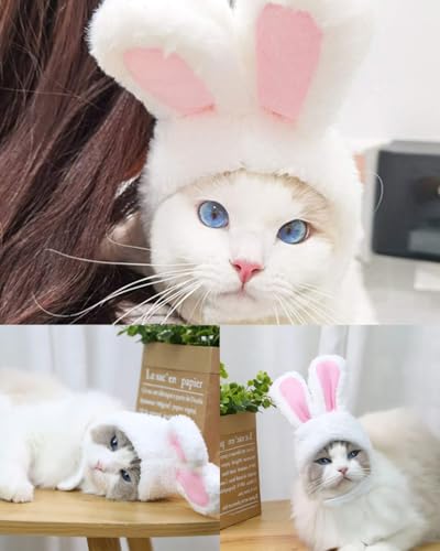 Zeayebsr 2 Stück Katze Hut, Nett Haustier Hut, Katze Kostüm mit Hasenohren, Häschenkostüm für Katzen und Welpen, Halloween Oster-Cosplay Weihnachten Party Kostüm Kopfbedeckung, für Haustier