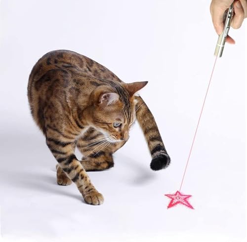 Cat Laser Pointer Toys: Rechargeable 2 Color Lights 5 Patterns, Cats Dogs Interactive Pet Toys for Playing Exercise Chaser Toys, Cat Lovers Gift (Silver + Gold)
