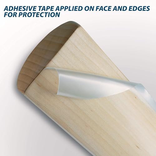 Image of DSC Condor Flicker Kashmir Willow Cricket Bat Size 1