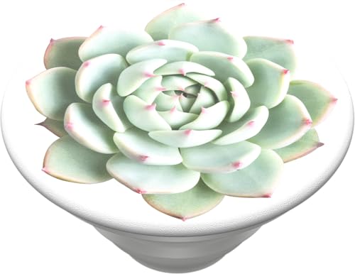 Image of PopSockets Phone Grip with Expanding Kickstand, Plant Pattern PopGrip - You Succulent