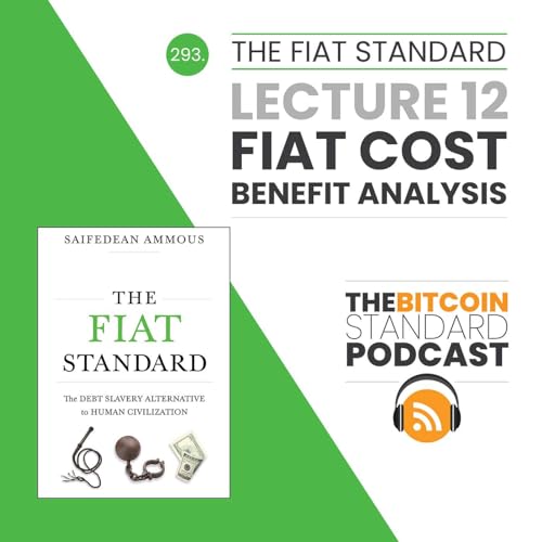 『293. The Fiat Standard Lecture 12: Fiat Cost-Benefit Analysis』のカバーアート