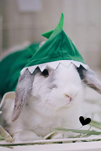 Disfraz Dinosaurio Ajustable para Pequeños Animales miniatura 5