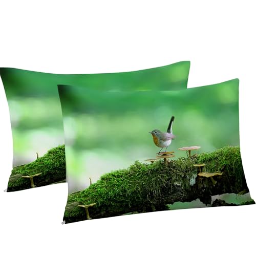 Housse de couette 240 x 260 OiseauVert en microfibre douce à fermeture éclair
