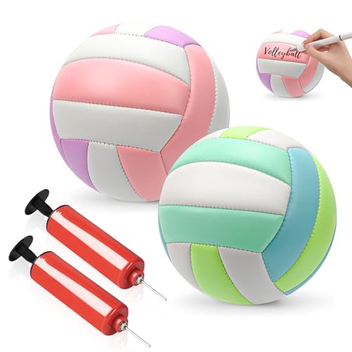 SMAODSGN Size 2 Mini Volleyball 5.3 inch Small Beach Volleyball Soft Autograph Ball with Air Pump Sports Gifts for Team Collectors Sports Party Outdoor IndoorVery Small