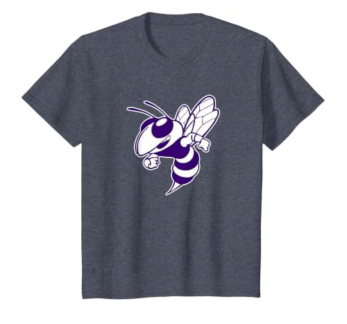 Deep Creek High School Hornets T-Shirt, Youth, Heather Blue, X-Small